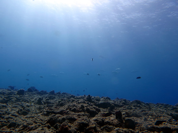 IMG_2377.JPG
