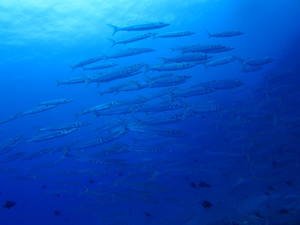 IMG_7638.JPG