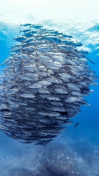 image5.jpegのサムネイル画像