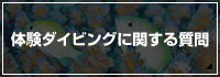 体験ダイビングに関するよくある質問