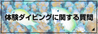 体験ダイビングに関するよくある質問