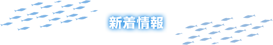 新着情報一覧