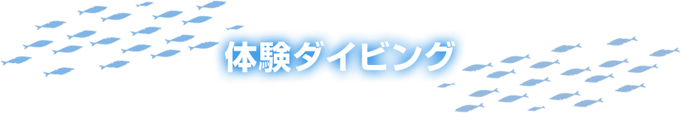 体験ダイビング