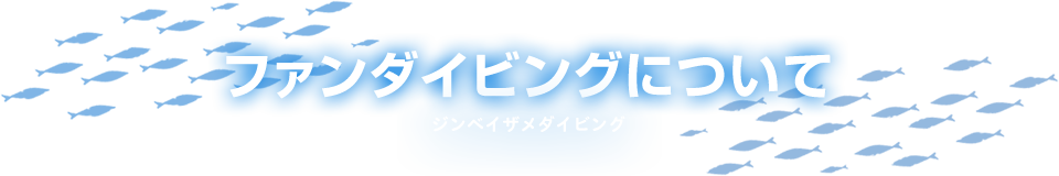 ジンベイザメダイビング