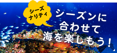 シーズンに合わせて海を楽しもう！