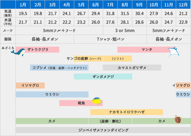 沖縄ダイビングシーズナリティ