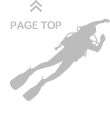 pagetop